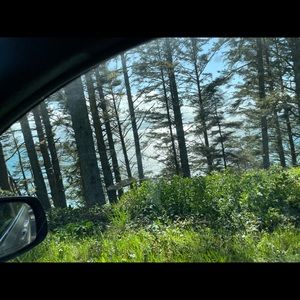 Meet your Posher, Dragan